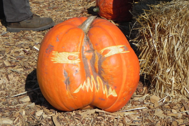 Pumpkin Carving Idea Grumpy